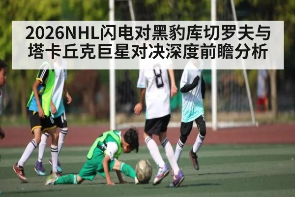 2026NHL闪电对黑豹库切罗夫与塔卡丘克巨星对决深度前瞻分析