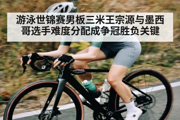 游泳世锦赛男板三米王宗源与墨西哥选手难度分配成争冠胜负关键(kaiyun)